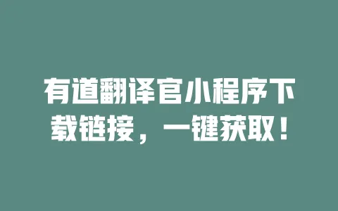 有道翻译官小程序下载链接,一键获取! 一