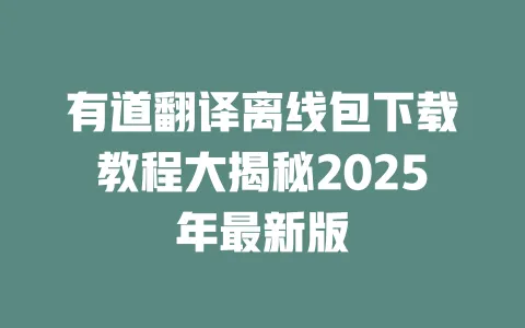 有道翻译离线包下载教程大揭秘2025年最新版 一